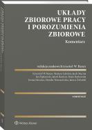 Okładka książki Układy zbiorowe pracy i porozumienia zbiorowe. Komentarz