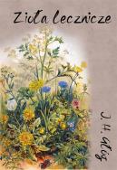 Zioła lecznicze. Botanika okultystyczna, astrologia herbalna, medycyna hermetyczna. Autor: Głóg J.H.. ZdrowePodejscie.pl Okładka książki Zioła lecznicze. Botanika okultystyczna, astrologia herbalna, medycyna hermetyczna