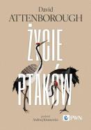 Życie ptaków. Autor: David Attenborough. ZdrowePodejscie.pl Okładka książki Życie ptaków